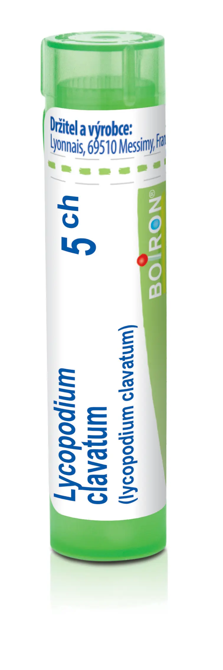 4649_LYCOPODIUM CLAVATUM 5